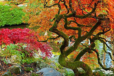 小岛工作室成立七周年 连发视频展示全新工作环境